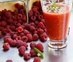 Manufacturers Exporters and Wholesale Suppliers of Rasberrry Juice Satara Maharashtra